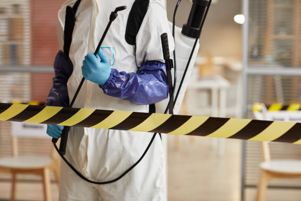 Professional Sewage Cleanup technician working in Chattaroy, WA